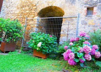 Giardino - Casa indipendente via Borgo Antico, 10, Calestano - foto 29
