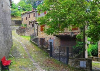 Giardino - Casa indipendente via Borgo Antico, 10, Calestano - foto 13