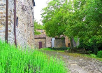 Giardino - Casa indipendente via Borgo Antico, 10, Calestano - foto 20