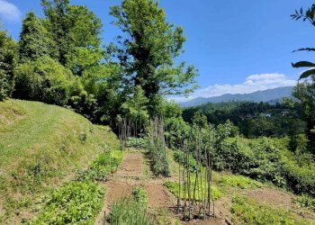 IMG-20240605-WA0031.jpg - Casa indipendente Aulla - foto 10