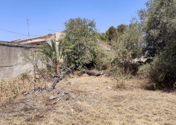 IMG20240624114448.jpg - Terreno edificabile Strada Capo Murro di Porco 234, Siracusa - foto 2