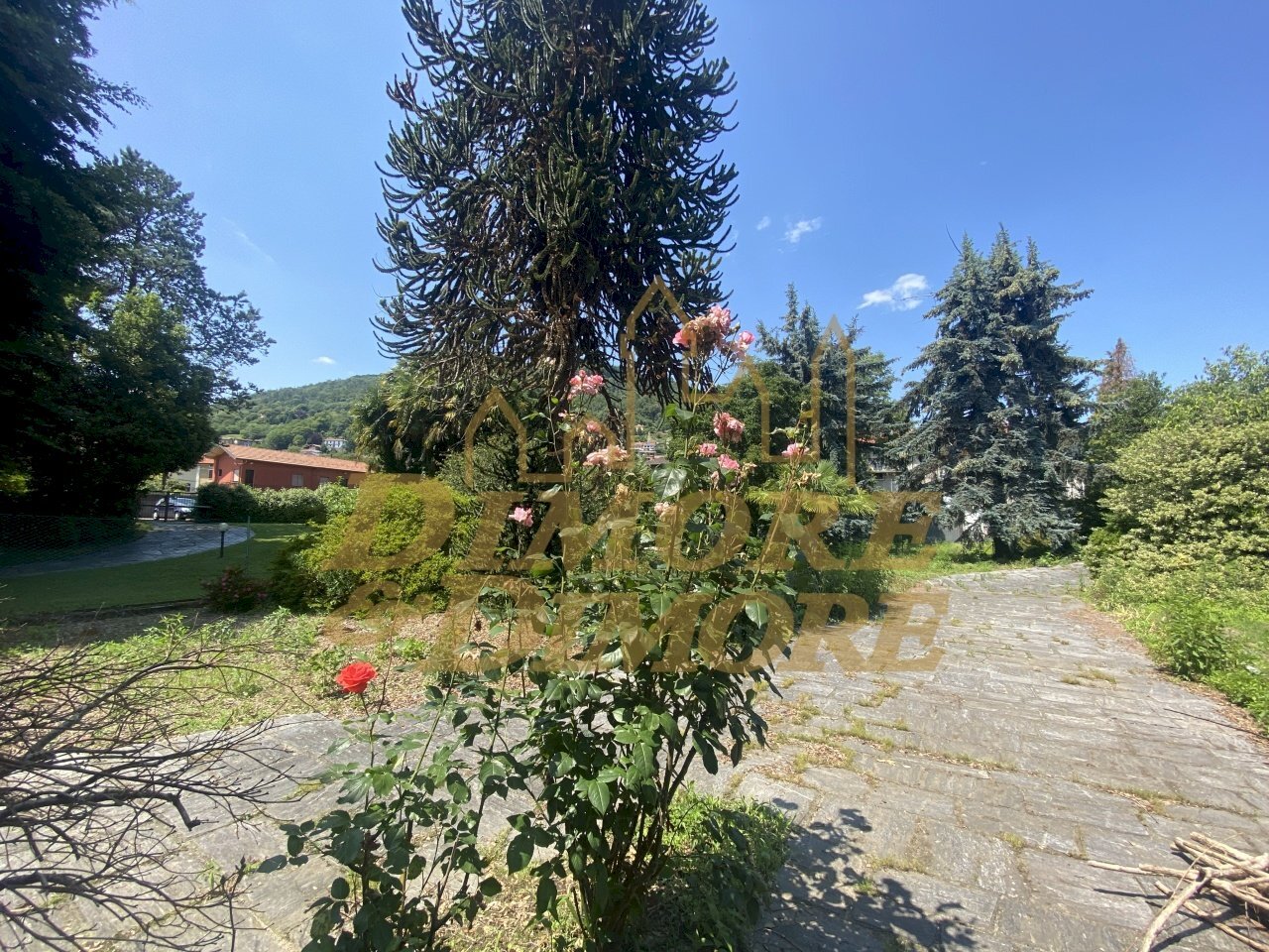 IMG_2478.JPG - Villa Via Crocetta 37, Verbania - foto 3