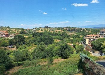 20240719_131735.jpg - Attic Via Giuseppe di Vittorio 5, Morlupo - photo 3