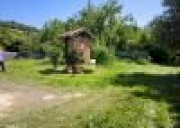 Villa Strada Ceriaglio, Casalborgone - foto 5