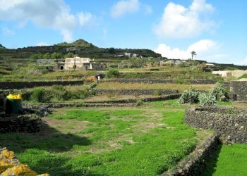 Terreno - Terreno edificabile Pantelleria - foto 5