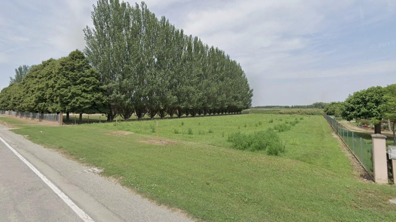 Vista dalla strada.jpeg - Terreno edificabile Via Savena Vecchia 290, Baricella - foto 1