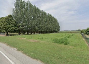 Vista dalla strada.jpeg - Terreno edificabile Via Savena Vecchia 290, Baricella - foto 1