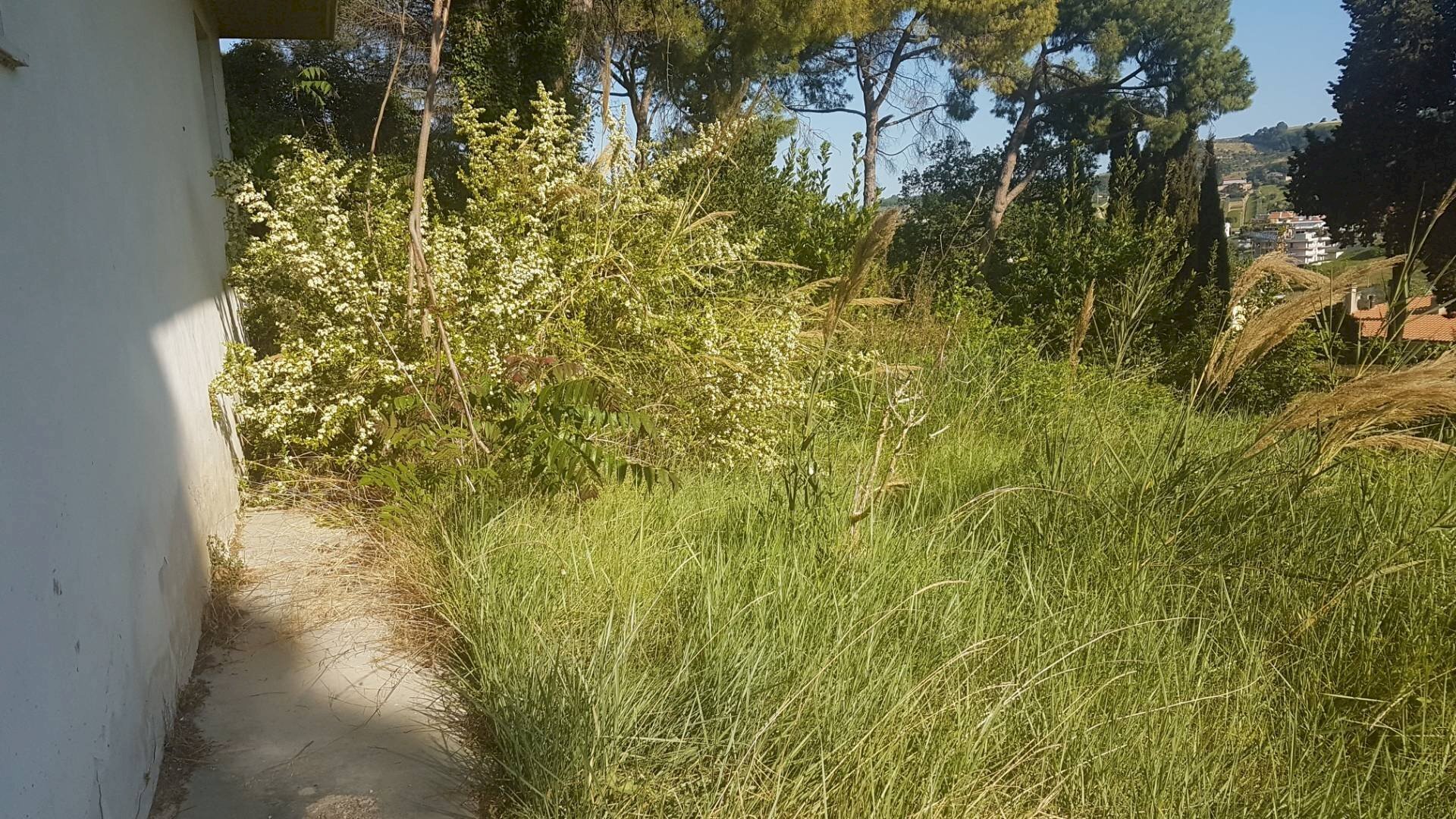 Commercial Premises colle della maddalena, San Benedetto del Tronto - photo 2