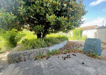 IMG_6763.JPG - Porzione di casa Pietrasanta - foto 5