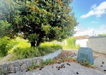 IMG_6764.JPG - Porzione di casa Pietrasanta - foto 6