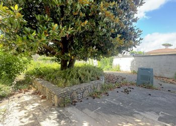 IMG_6772.JPG - Porzione di casa Pietrasanta - foto 14