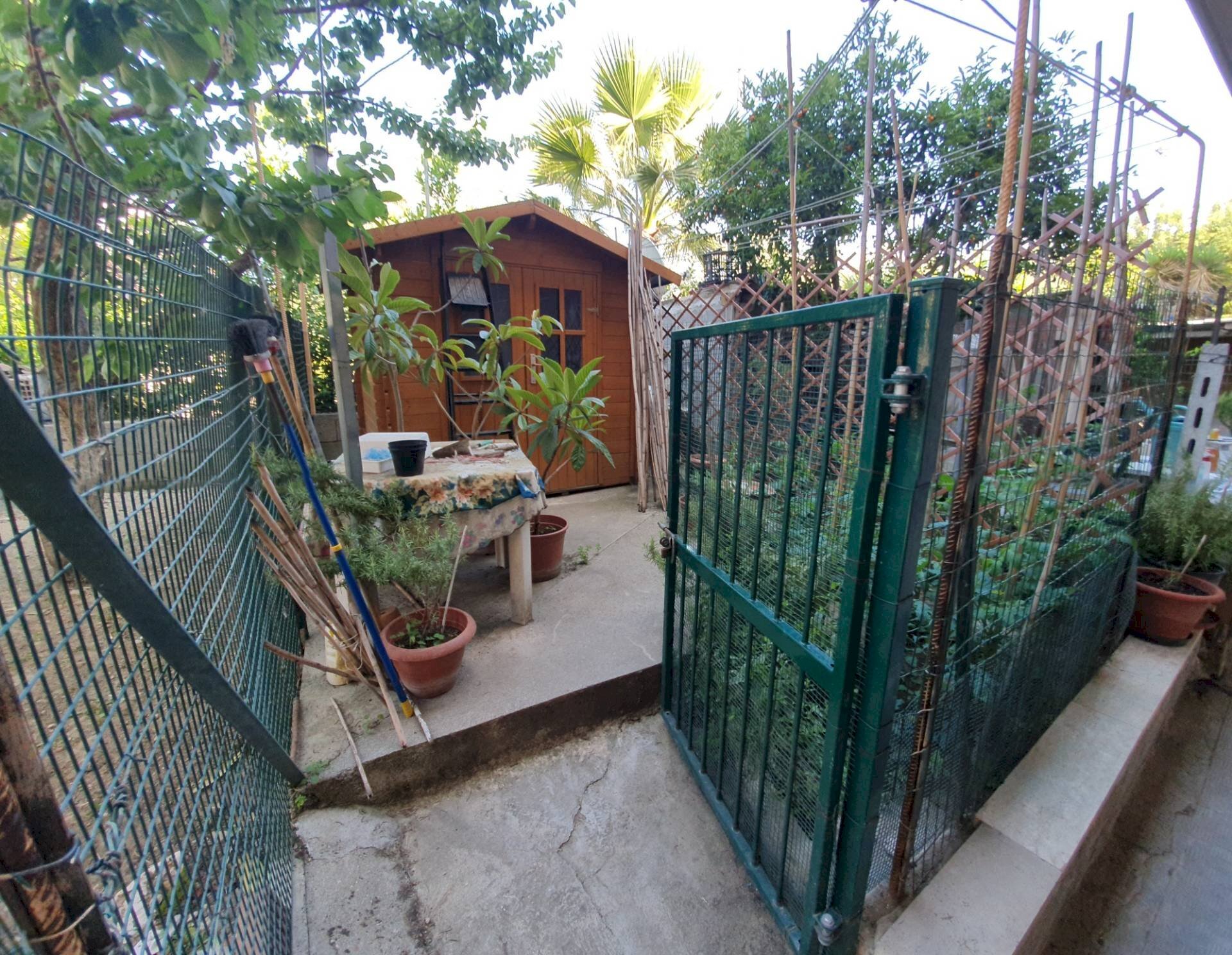 Three-room apartment manara, San Benedetto del Tronto - photo 1