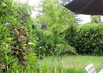 Three-room apartment largo dell'olgiata, Roma (neighborhood Olgiata) - photo 15