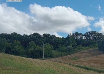 Terreno agricolo Strada Provinciale 51, Termoli - foto 1