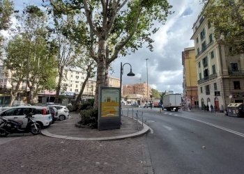 Zona - Appartamento via Federico Avio, Genova (zona Sampierdarena) - foto 15