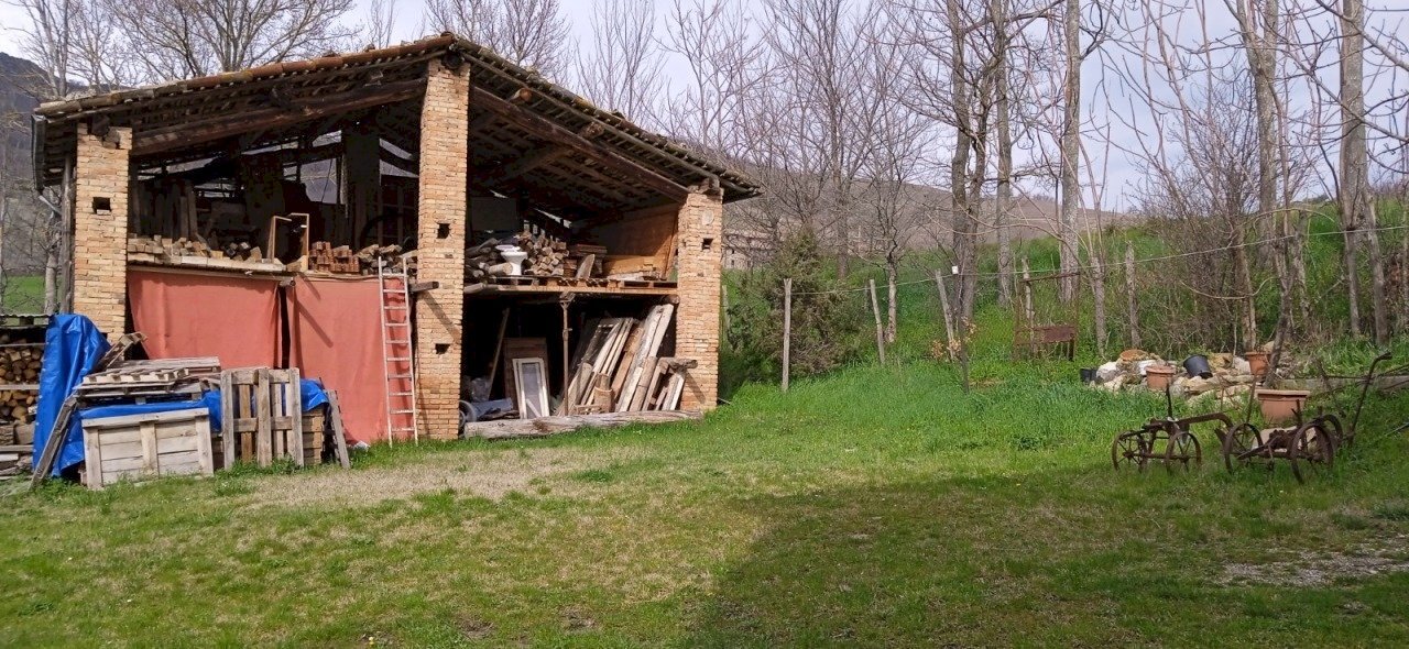 WhatsApp Image 2024-06-27 at 22.18.10.jpeg - Terratetto - Terracielo Strada Per Piazza-Sivizzano, Fornovo di Taro - foto 3