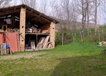 WhatsApp Image 2024-06-27 at 22.18.10.jpeg - Terratetto - Terracielo Strada Per Piazza-Sivizzano, Fornovo di Taro - foto 3