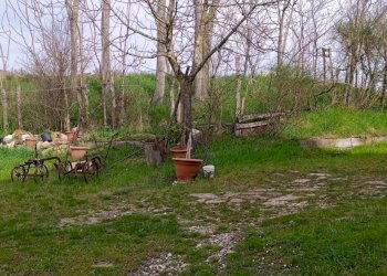 WhatsApp Image 2024-06-27 at 22.18.10 (1).jpeg - Terratetto - Terracielo Strada Per Piazza-Sivizzano, Fornovo di Taro - foto 4