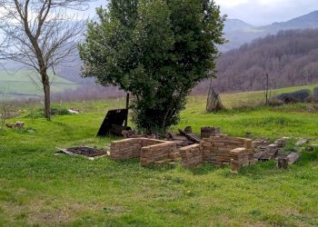 WhatsApp Image 2024-06-27 at 22.18.10 (2).jpeg - Terratetto - Terracielo Strada Per Piazza-Sivizzano, Fornovo di Taro - foto 5