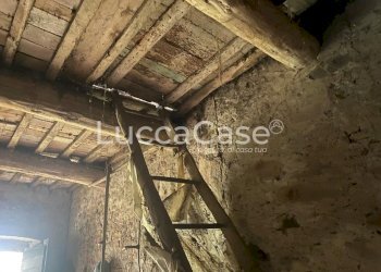 Rustic Lucca (neighborhood Vicopelago) - photo 5