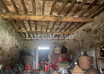 Rustic Lucca (neighborhood Vicopelago) - photo 6