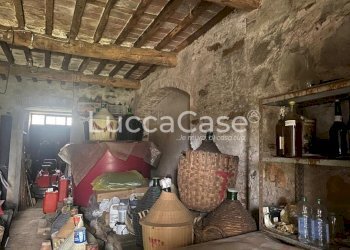 Rustic Lucca (neighborhood Vicopelago) - photo 7