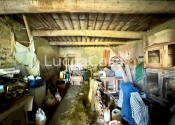 Rustic Lucca (neighborhood Vicopelago) - photo 8