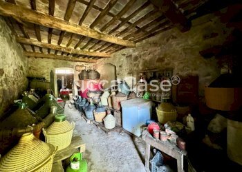 Rustic Lucca (neighborhood Vicopelago) - photo 9