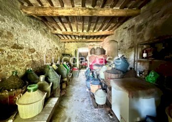Rustic Lucca (neighborhood Vicopelago) - photo 10