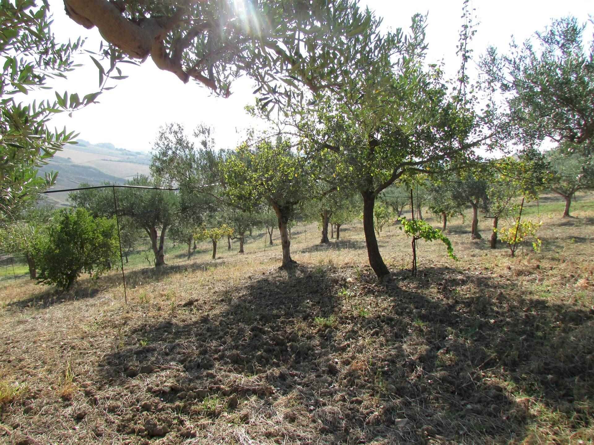 Casa indipendente Contrada Ragana, Sciacca - foto 2