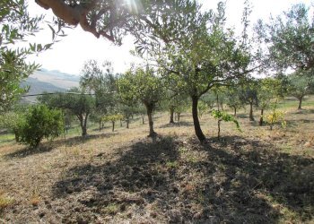 Casa indipendente Contrada Ragana, Sciacca - foto 2