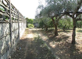 Casa indipendente Contrada Ragana, Sciacca - foto 10