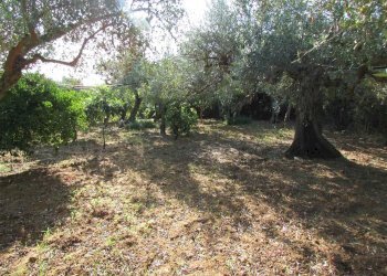 Casa indipendente Contrada Ragana, Sciacca - foto 11