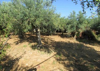 Casa indipendente Contrada Ragana, Sciacca - foto 12