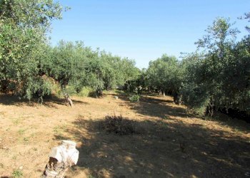 Casa indipendente Contrada Ragana, Sciacca - foto 13