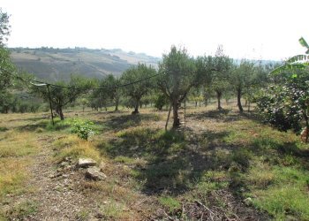 Casa indipendente Contrada Ragana, Sciacca - foto 14