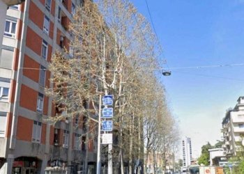 Trilocale Milano - foto 2