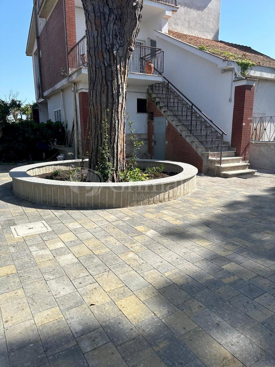 IMG-20240628-WA0125.jpg - Three-family Villa Viale Grazia Fiorita 56, Anzio - photo 2