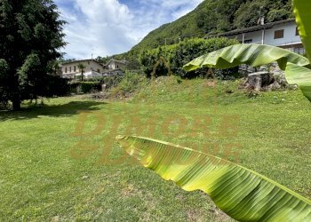 IMG_1430.jpg - Terreno edificabile Ghiffa - foto 11