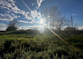 Independent house Via C. Bonificazione, Cesenatico - photo 5