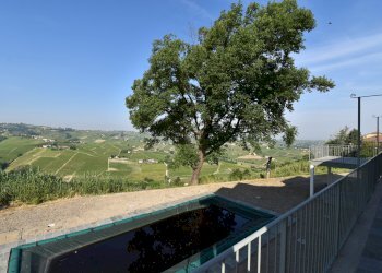 Rustico via Boscodonne, Calosso - foto 53