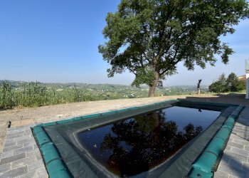 Rustico via Boscodonne, Calosso - foto 89