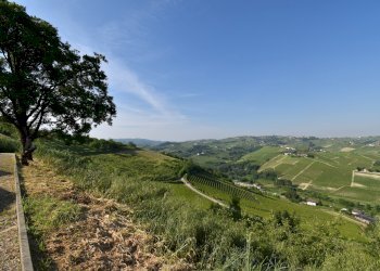 Rustico via Boscodonne, Calosso - foto 113