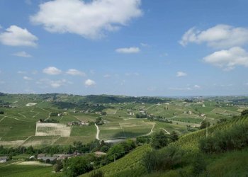 Vista - Rustico via Boscodonne, Calosso - foto 5