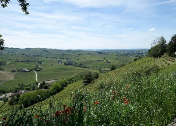 Vista - Rustico via Boscodonne, Calosso - foto 7