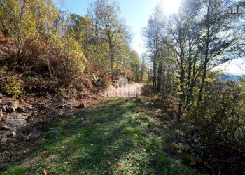 Giardino - Rustic regione ajù, Valchiusa - photo 32