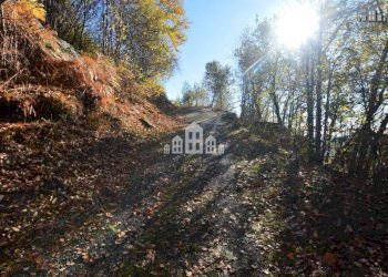 Zona - Rustic regione ajù, Valchiusa - photo 36