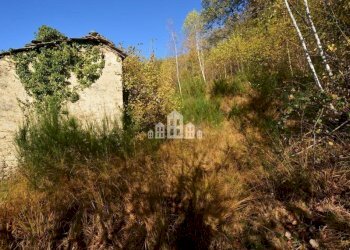 Terreno - Rustico regione ajù, Valchiusa - foto 27