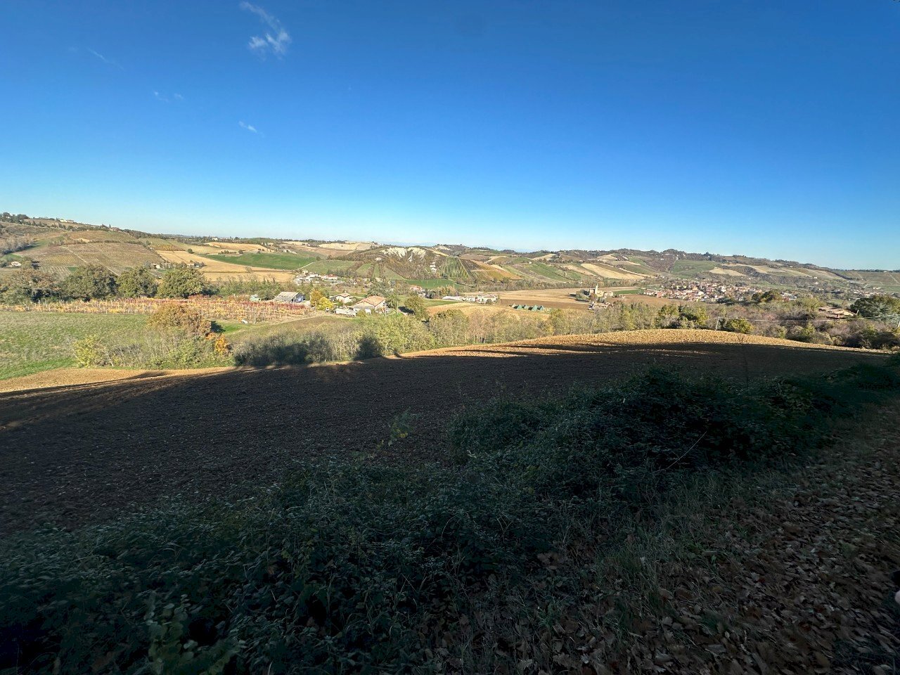 Terreno agricolo Valsamoggia - foto 3