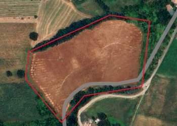 Terreno agricolo Valsamoggia - foto 1